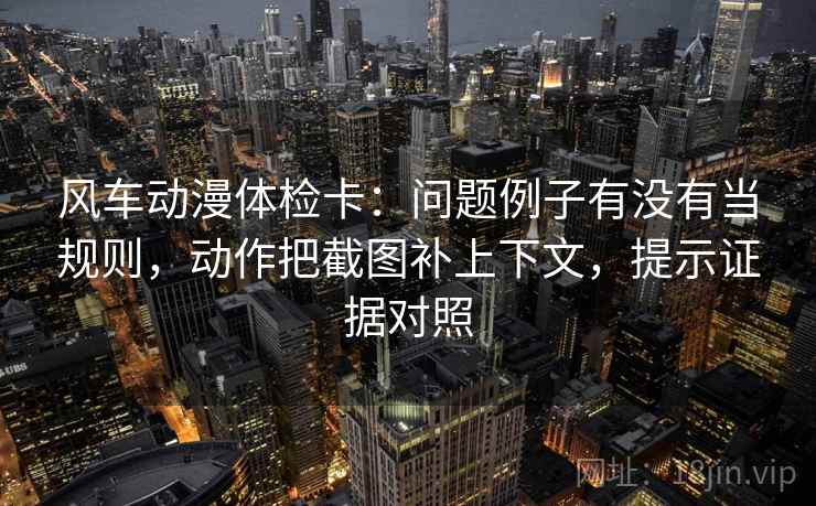 风车动漫体检卡：问题例子有没有当规则，动作把截图补上下文，提示证据对照