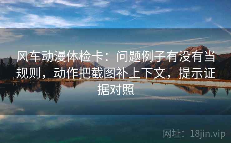 风车动漫体检卡：问题例子有没有当规则，动作把截图补上下文，提示证据对照